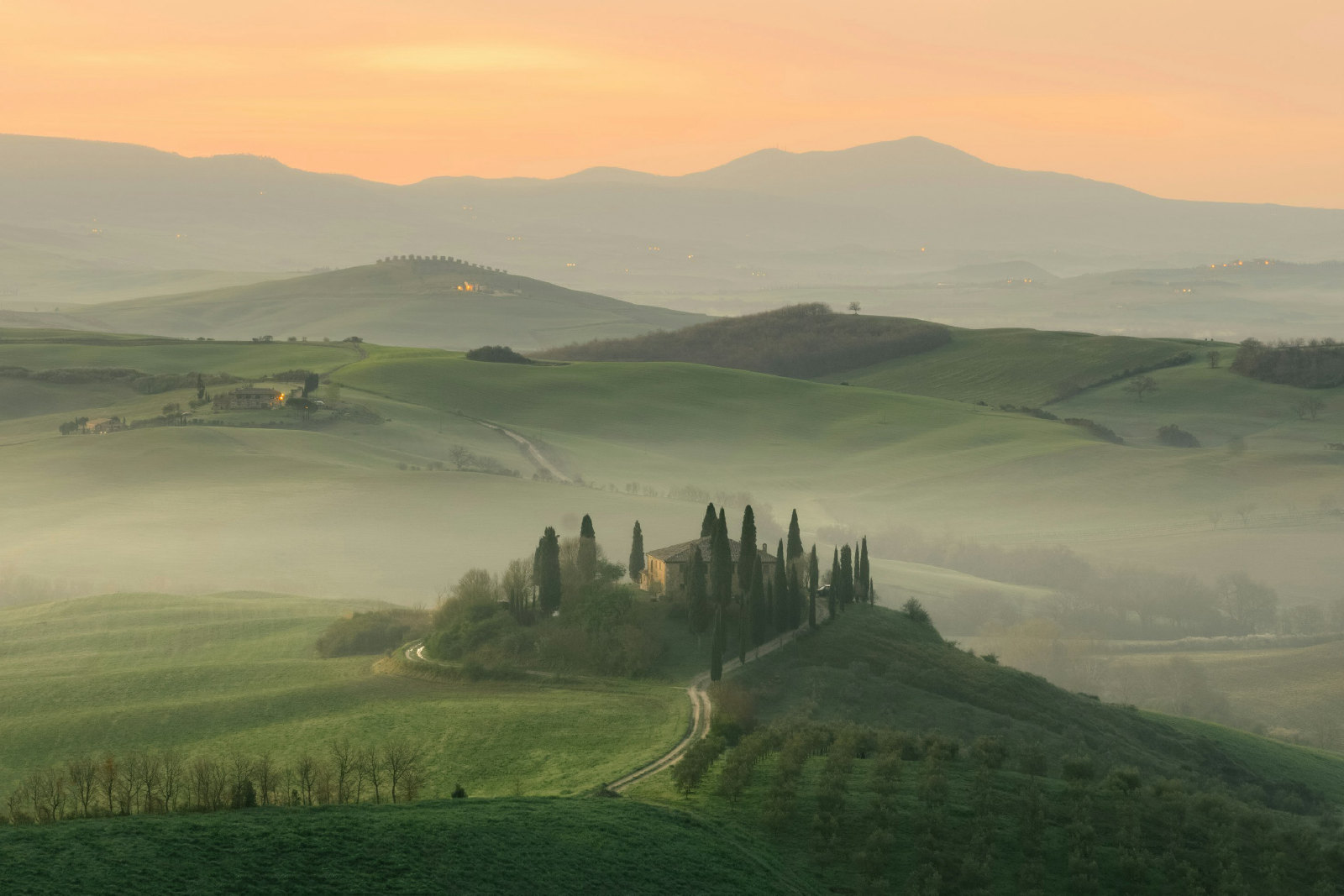 Rolling green hills under a soft morning haze